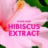 imageTree Hut Cherry Rave Foaming Gel Wash  Cleanse ampamp Soothe Skin Without Stripping Moisture  Made with our Hydrating Oil Complex  Limited Edition Fall  18 fl ozPink Hibiscus
