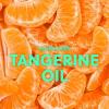 imageTree Hut Cherry Rave Foaming Gel Wash  Cleanse ampamp Soothe Skin Without Stripping Moisture  Made with our Hydrating Oil Complex  Limited Edition Fall  18 fl ozTangerine