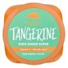 imageTree Hut Cherry Rave Shea Sugar Scrub  Exfoliating Body Scrub Removes Dead Dry Skin for a Soft ampamp Hydrated Feel  Limited Edition Fall  Nourishing Essential Body Care  18 fl ozTangerine