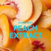 imageTree Hut Cherry Rave Shea Sugar Scrub  Exfoliating Body Scrub Removes Dead Dry Skin for a Soft ampamp Hydrated Feel  Limited Edition Fall  Nourishing Essential Body Care  18 fl ozPeach Sorbet