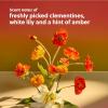 imageTree Hut Fragrance Mist Sunkissed Poppy