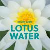 imageTree Hut Lotus Water Shea Sugar Scrub  Exfoliating Body Scrub Removes Dead Dry Skin for a Soft ampamp Hydrated Feel  Nourishing Essential Body Care  18 fl ozLotus Water