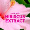 imageTree Hut Peppermint Pearl Moisturizing Shave Oil  Made with Soothing Jojoba Oil  GeltoOil Formula Helps Prevent Razor Bumps Ingrown Hairs ampamp Skin Irritation  Limited Edition Holiday  77 fl ozPink Hibiscus