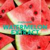 imageTree Hut Watermelon Overnight Lip Mask  Leave on Overnight ampamp Wake up to Soft Hydrated Lips  Elevate your Self Care Routine  6 ozWatermelon