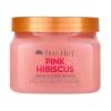Pink Hibiscus