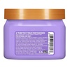 image:imageTree Hut Mini Jelly Bear Shea Sugar Scrub Exfoliating amp Hydrating Body Scrub with Shea Butter amp Essential Oils Smooth Skin For All Skin Types Vegan Travel Size 34 ozMeyow