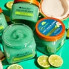 image:imageTree Hut Mini Jelly Bear Shea Sugar Scrub Exfoliating amp Hydrating Body Scrub with Shea Butter amp Essential Oils Smooth Skin For All Skin Types Vegan Travel Size 34 ozCoconut Lime