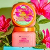 image:imageTree Hut Mini Jelly Bear Shea Sugar Scrub Exfoliating amp Hydrating Body Scrub with Shea Butter amp Essential Oils Smooth Skin For All Skin Types Vegan Travel Size 34 ozPink Hibiscus