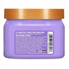 image:imageTree Hut Mini Jelly Bear Shea Sugar Scrub Exfoliating amp Hydrating Body Scrub with Shea Butter amp Essential Oils Smooth Skin For All Skin Types Vegan Travel Size 34 ozMeyow