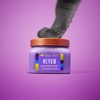 image:imageTree Hut Mini Jelly Bear Shea Sugar Scrub Exfoliating amp Hydrating Body Scrub with Shea Butter amp Essential Oils Smooth Skin For All Skin Types Vegan Travel Size 34 ozMeyow